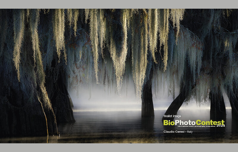 BPC2024gallery1