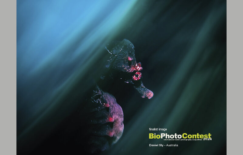 BPC2024gallery24