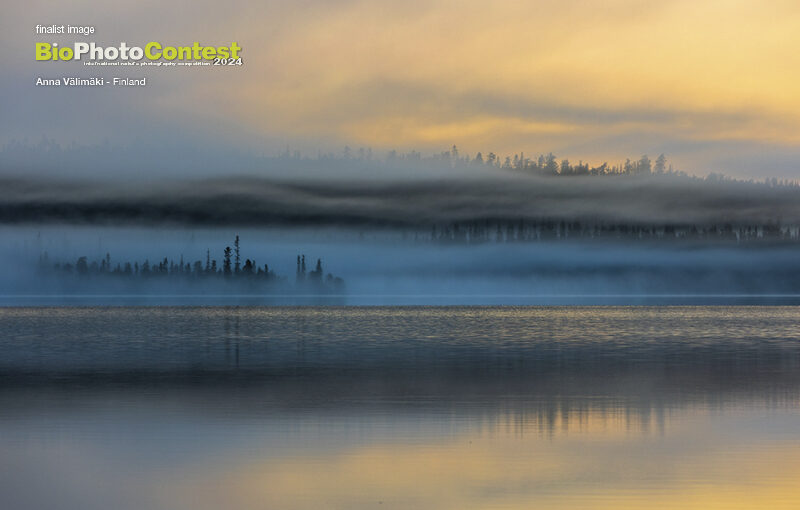 BPC2024gallery26