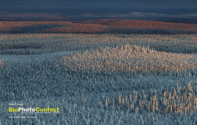 BPC2024gallery27