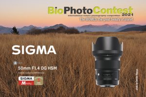 SIGMA_DME-BPC-SIGMA